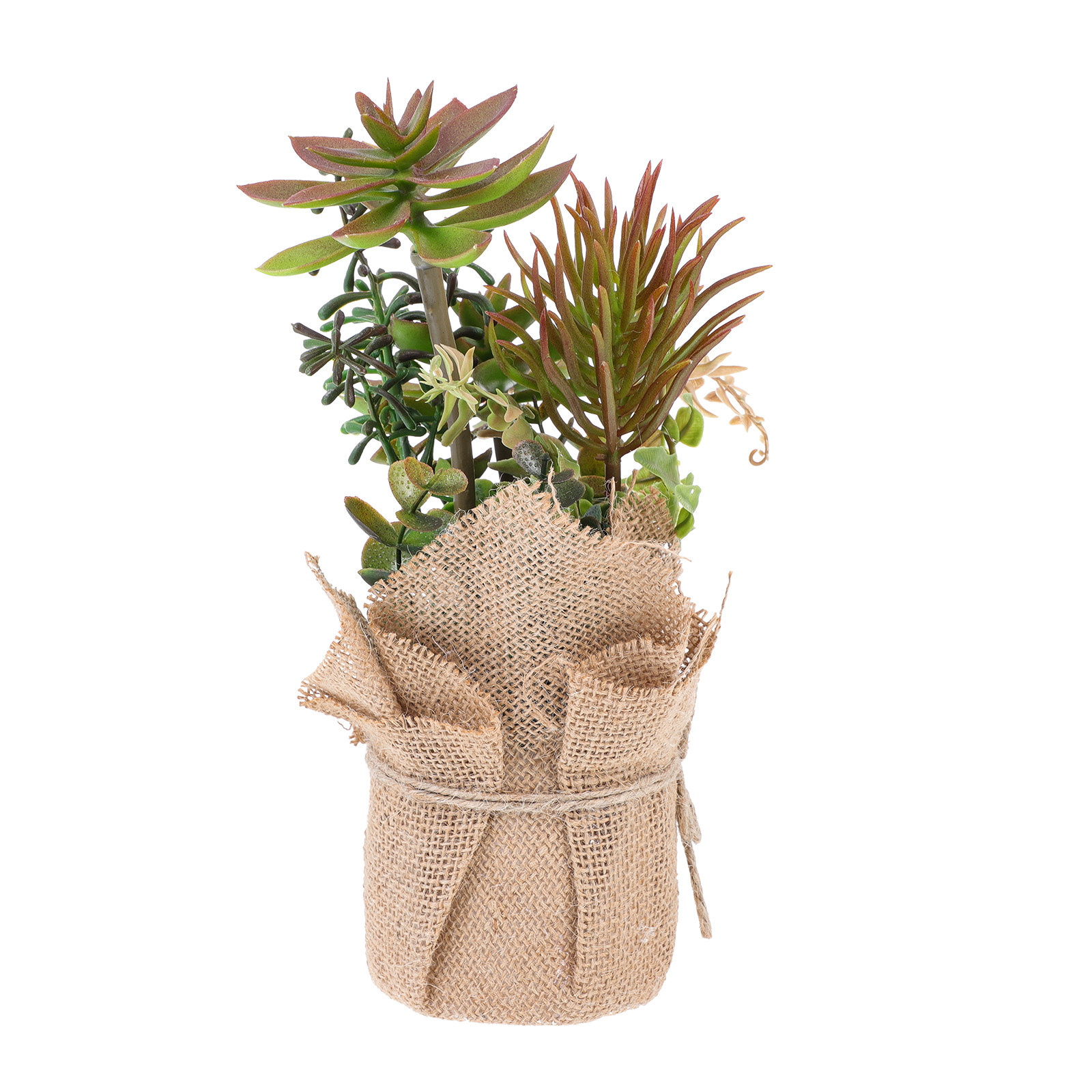 Bonsai Garden Shop - Premium Plastic Artificial Succulent Bonsai Ornament