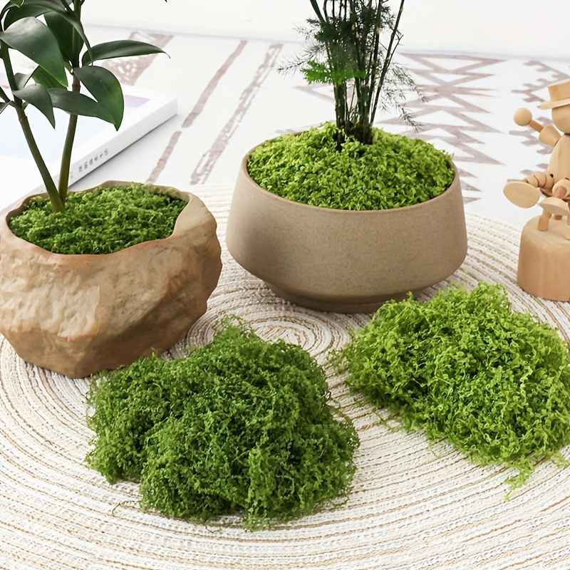 Bonsai Garden Indoor - 20g/0.7oz Artificial Garden Fabric Moss Outdoor
