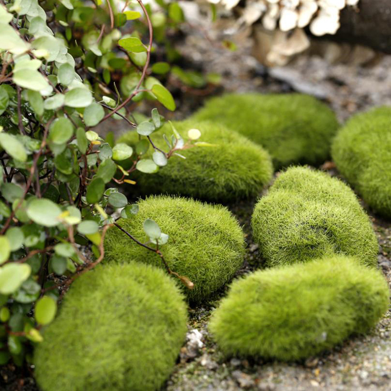 Landscape Bonsai Garden - 4PCS 3cm/6cm/8cm/10cm Simulated Moss Stone Fake