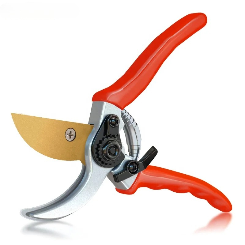 Bonsai Garden For Sale - Hot Sale Pruning Fruit Shears 8