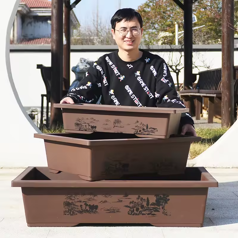 Bonsai Garden For Sale - Factory Direct Sales Custom Plastic Purple
