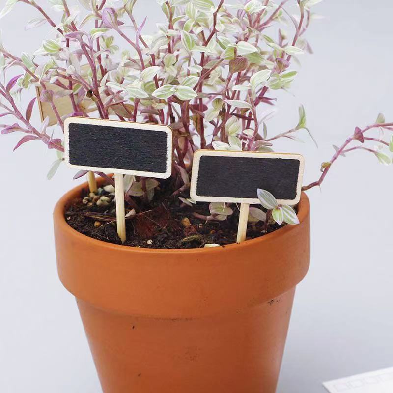 8Pcs Mini Blackboard Bonsai Ta - Landscape Bonsai Garden のレビューと価格
