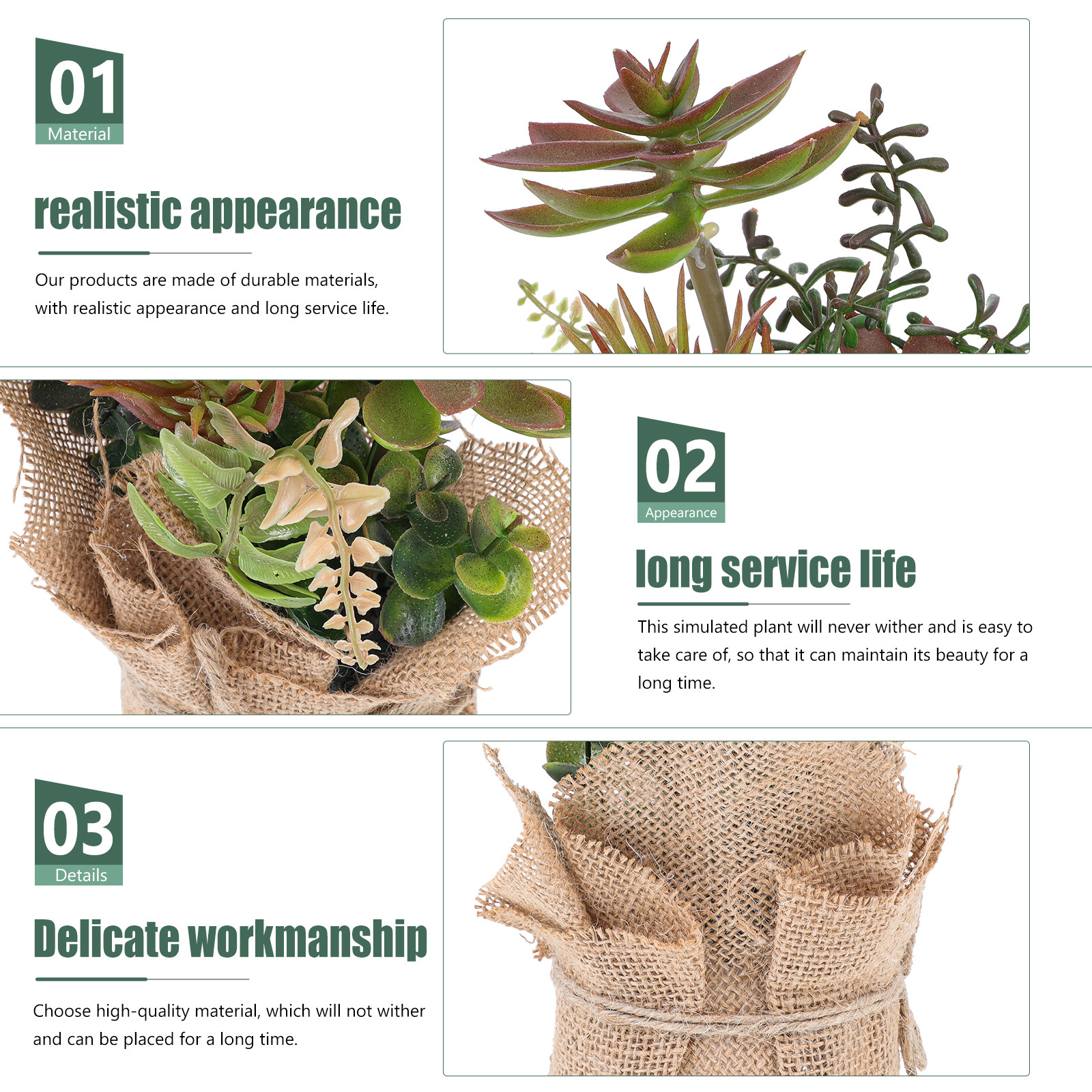 Premium Plastic Artificial Suc - Bonsai Garden Shop のレビューと価格