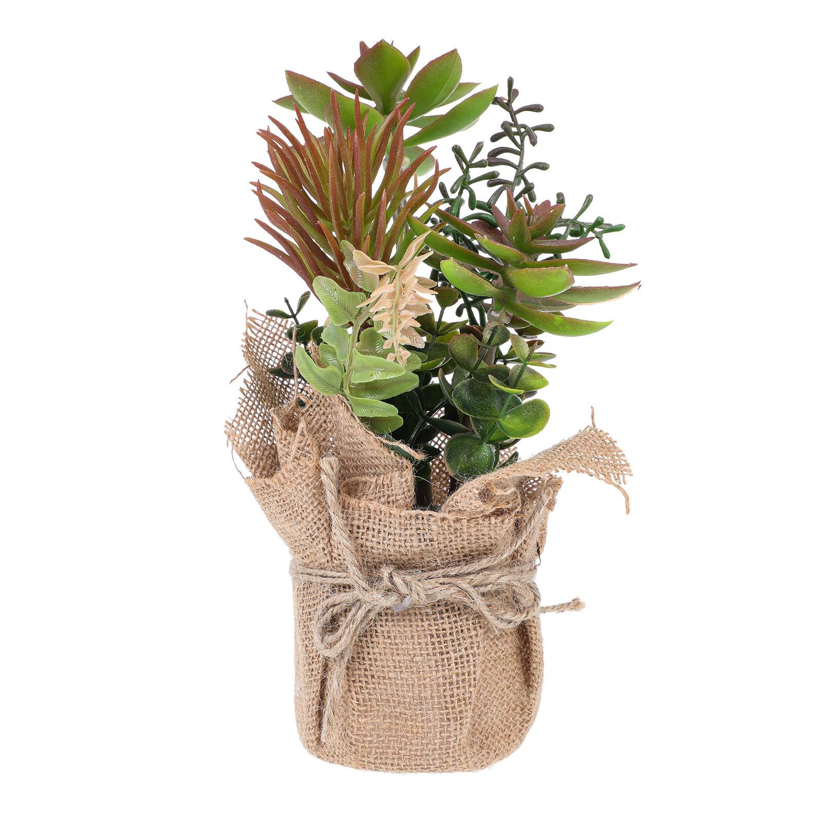 Premium Plastic Artificial Suc - Bonsai Garden Shop のレビューと価格