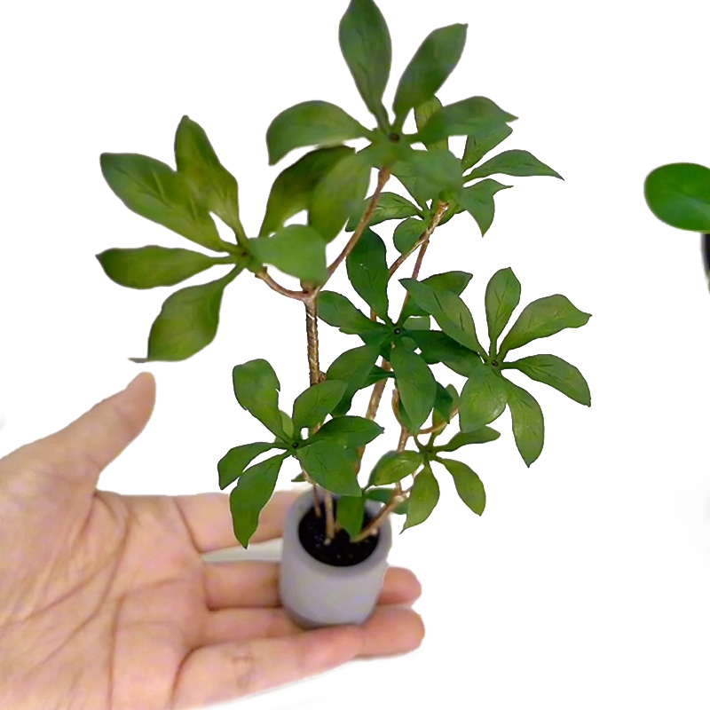 1:6 Dollhouse Miniature Potted - Bonsai Garden Pot のレビューと価格