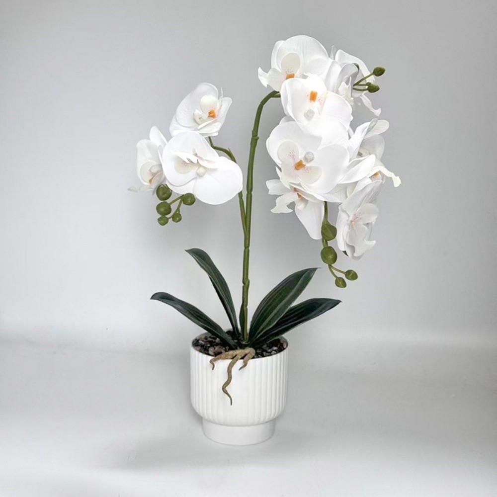 Multi-Bloom Simulated Butterfl - Bonsai Garden Zen のレビューと価格