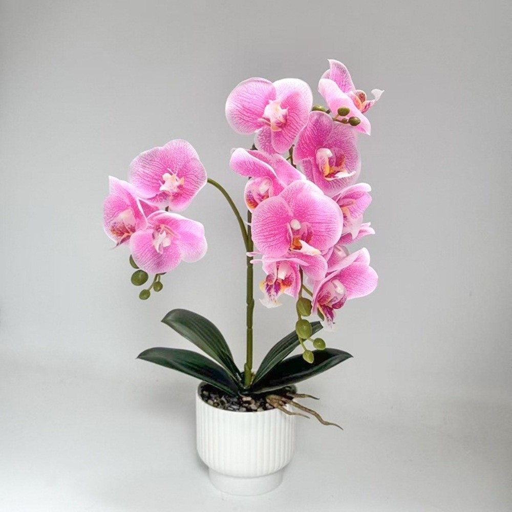 Multi-Bloom Simulated Butterfl - Bonsai Garden Zen のレビューと価格