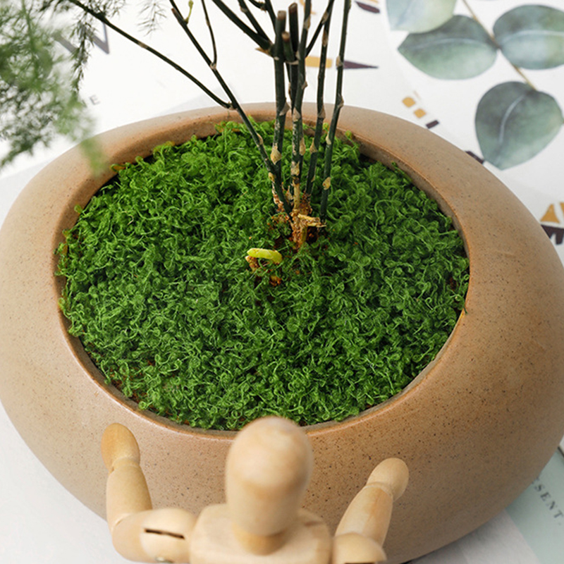 20g/0.7oz Artificial Garden Fa - Bonsai Garden Indoor のレビューと価格