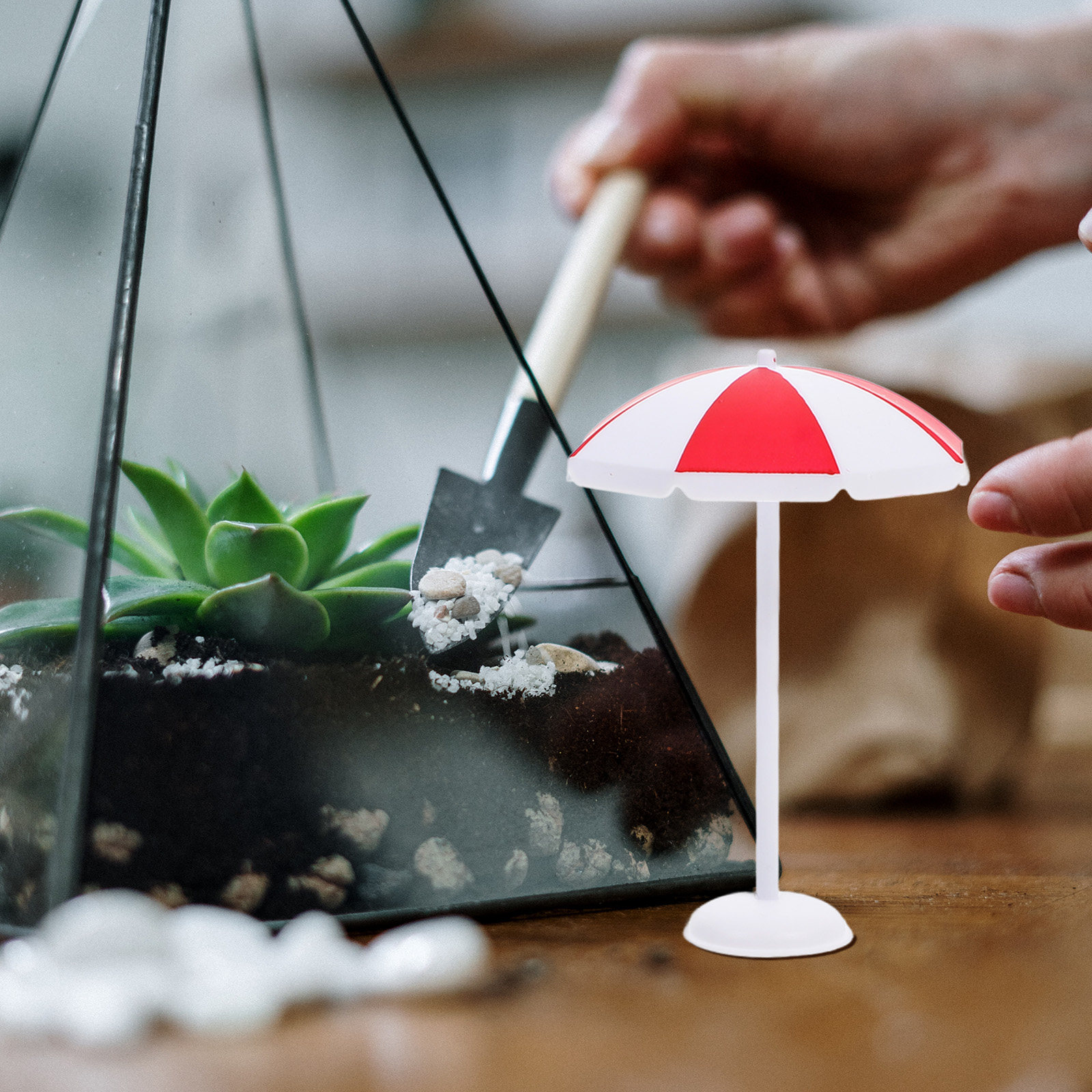 6Pcs Mini Beach Sun Umbrella C - Bonsai Garden Indoor のレビューと価格