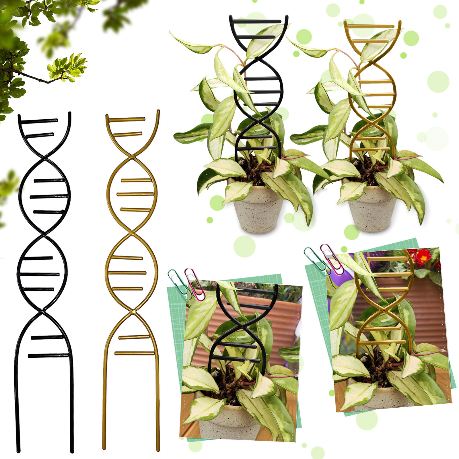 Plant Climbing Support Gardens - Bonsai Garden Pot のレビューと価格