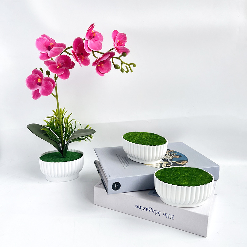 Corrosion resistant injection  - Bonsai Garden Shop のレビューと価格