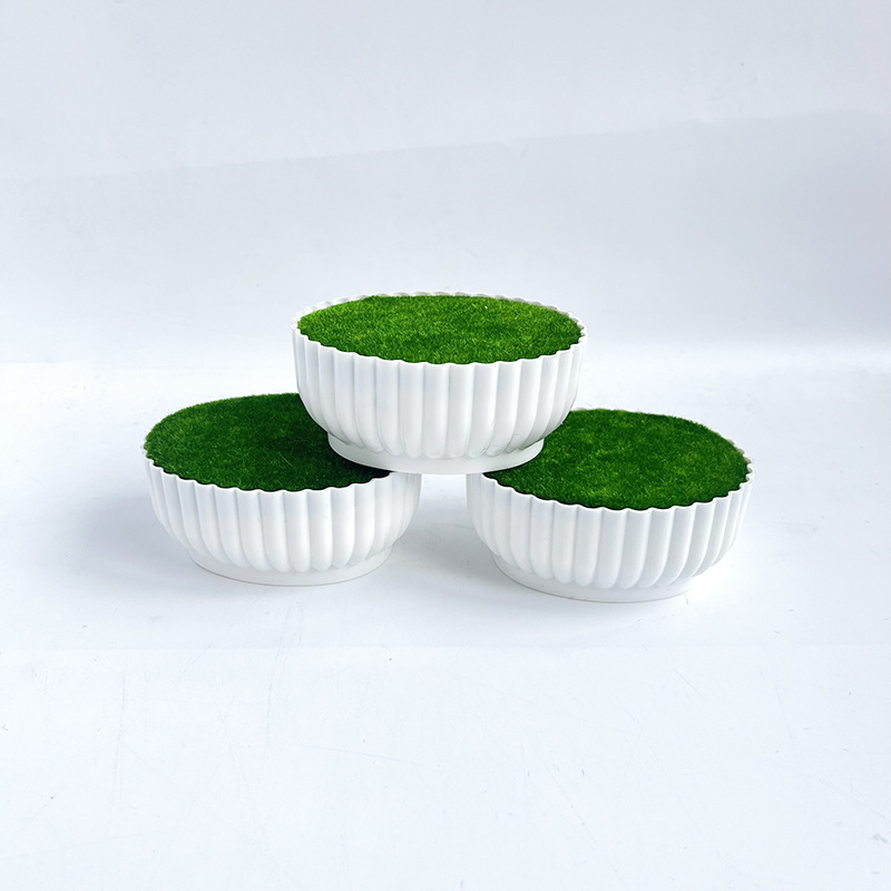Corrosion resistant injection  - Bonsai Garden Shop のレビューと価格