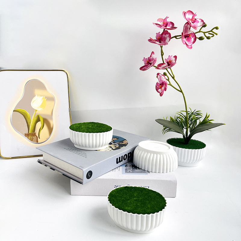 Corrosion resistant injection  - Bonsai Garden Shop のレビューと価格