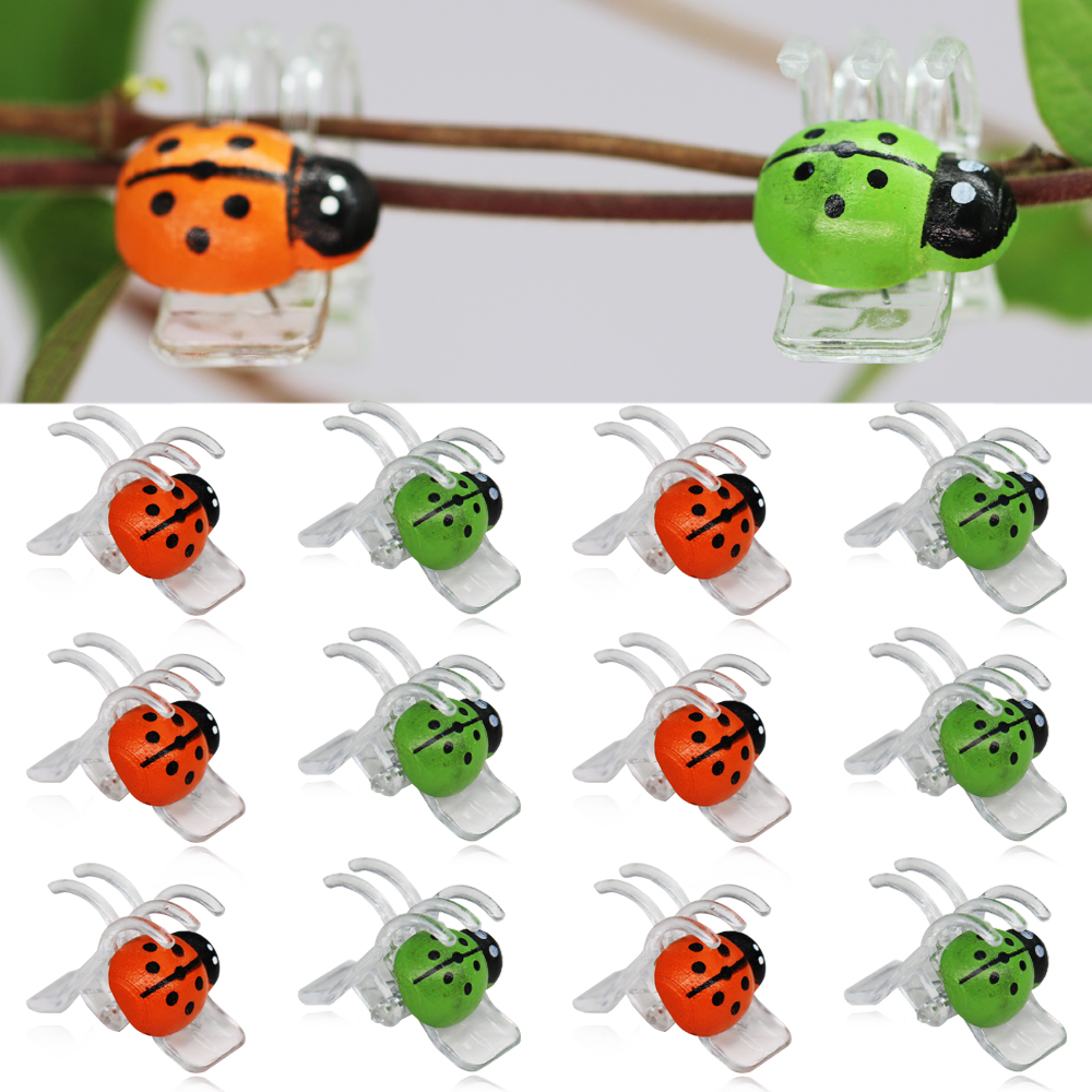 10-800PCS Ladybird Orchid Clip - Bonsai Garden Home のレビューと価格