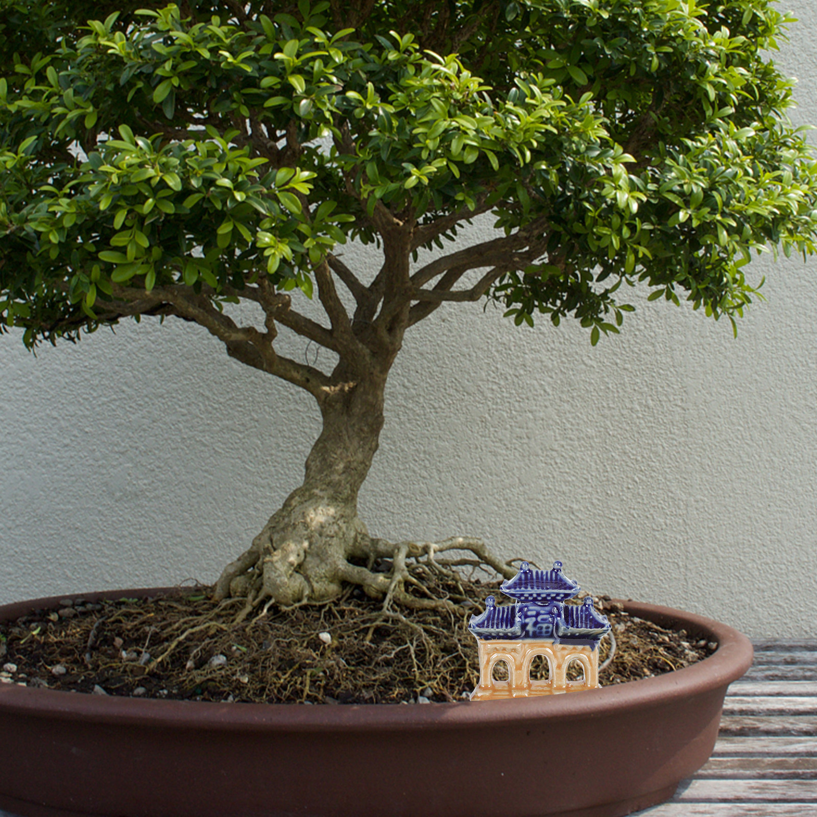 5Pcs Ceramic Pavilion Shape Or - Landscape Bonsai Garden のレビューと価格