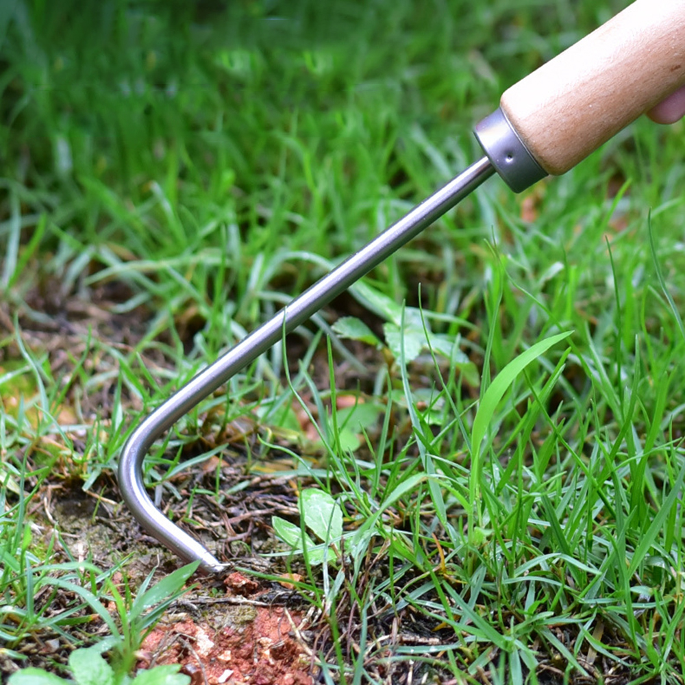 1PC Single Claw Hook Soil Loos - Bonsai Garden Pot のレビューと価格