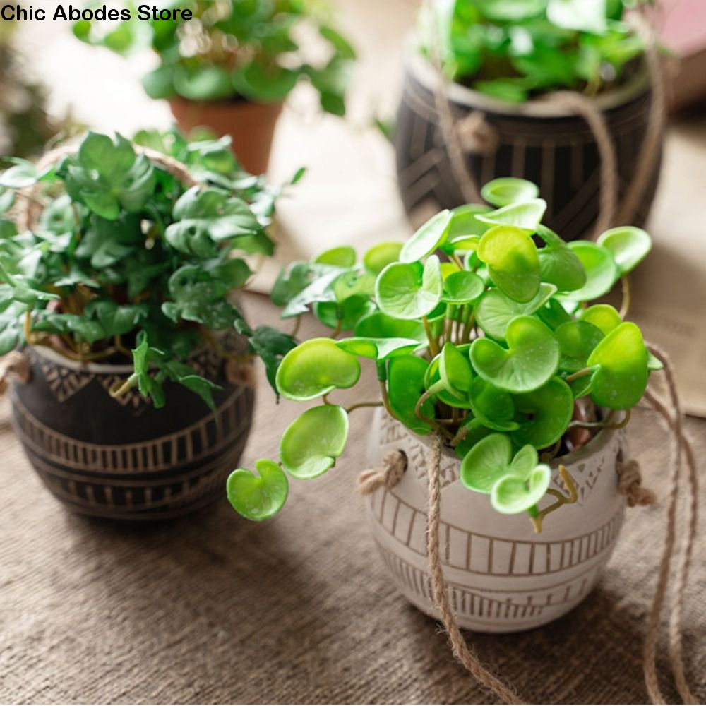 Green Garden Home Shop for Win - Bonsai Garden Shop のレビューと価格