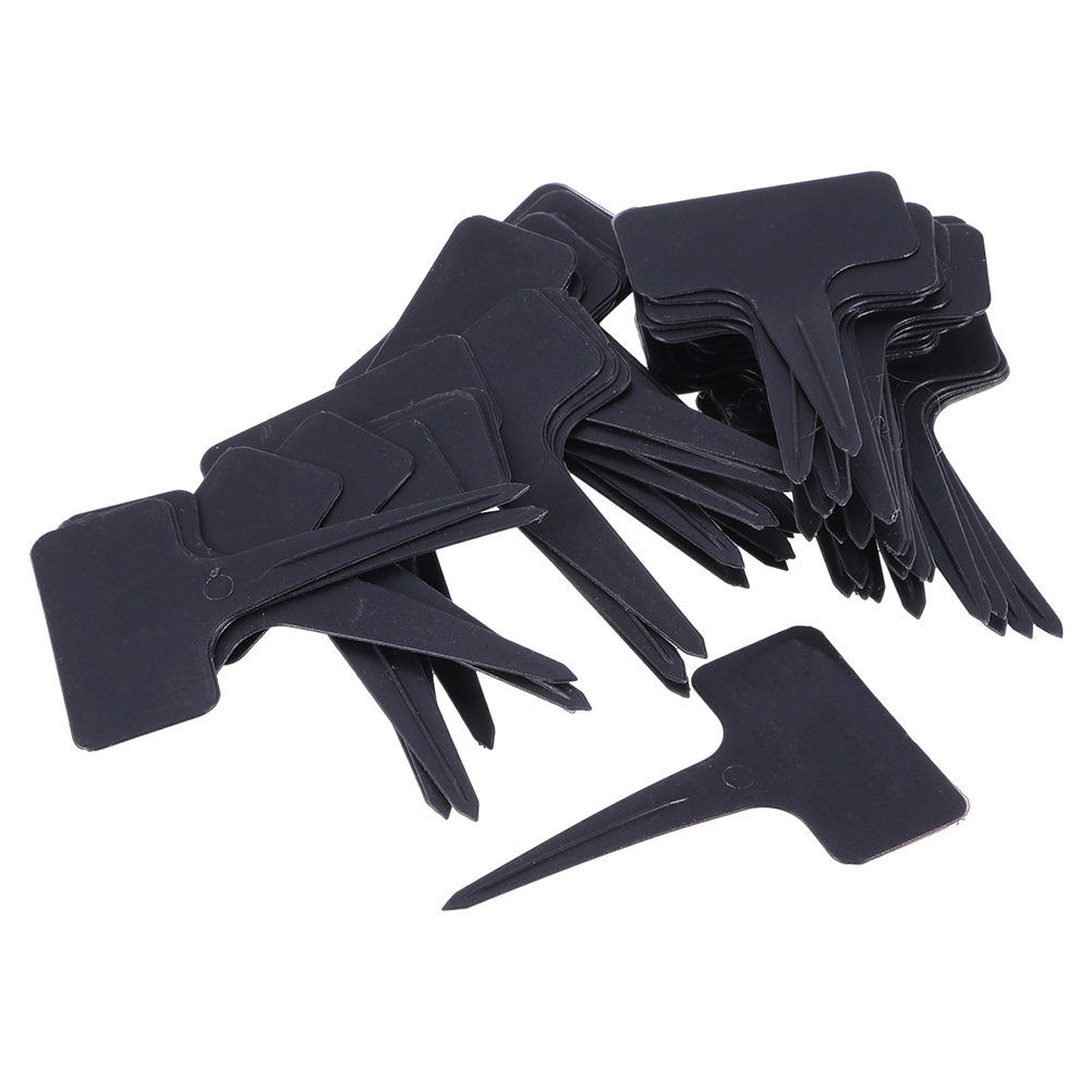 200Pcs T Shaped Plastic Plant  - Bonsai Garden Shop のレビューと価格