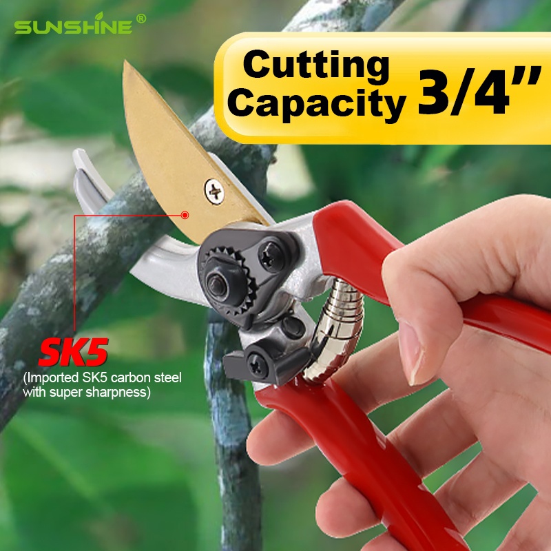 Hot Sale Pruning Fruit Shears  - Bonsai Garden For Sale のレビューと価格
