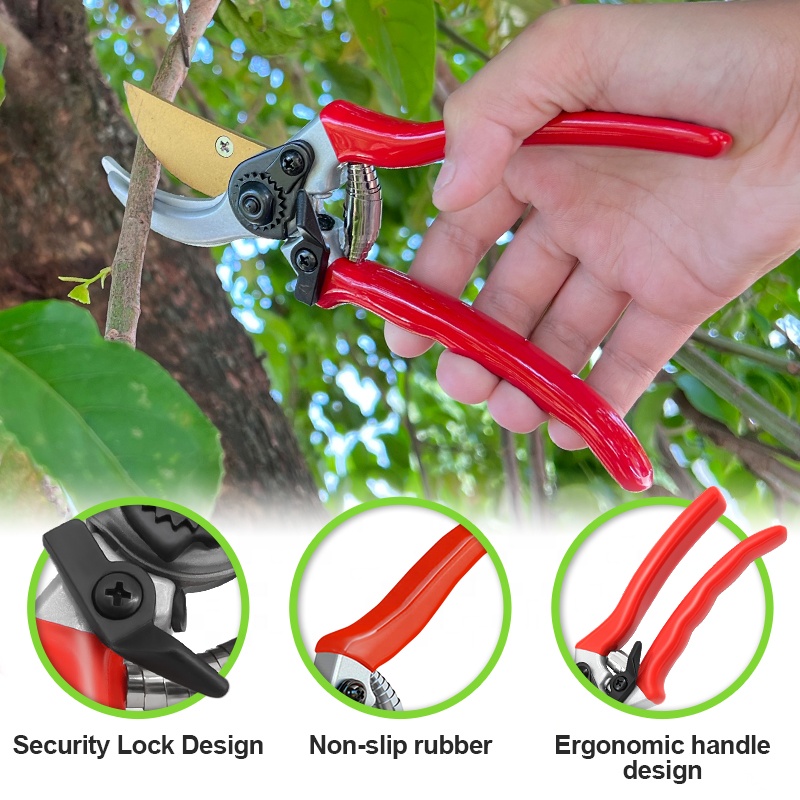 Hot Sale Pruning Fruit Shears  - Bonsai Garden For Sale のレビューと価格