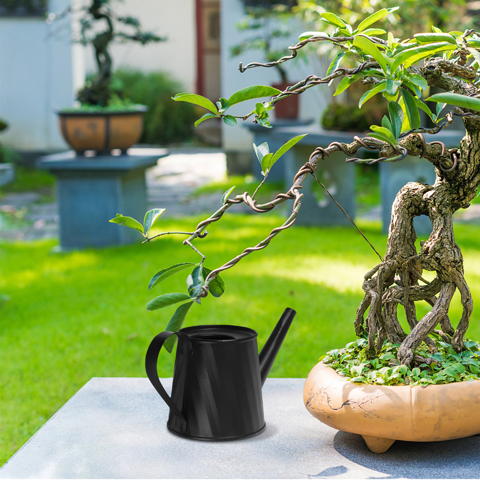 Mini Watering Can for Indoor P - Bonsai Garden Indoor のレビューと価格
