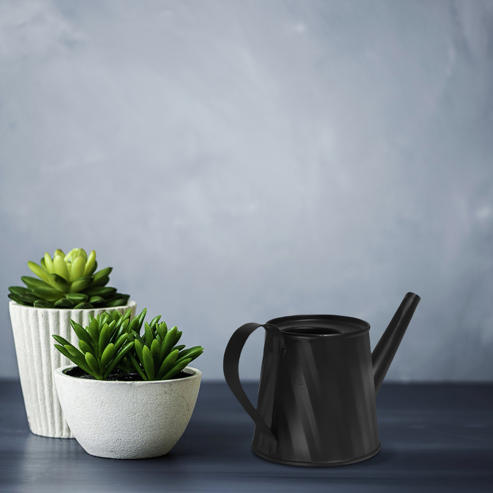 Mini Watering Can for Indoor P - Bonsai Garden Indoor のレビューと価格