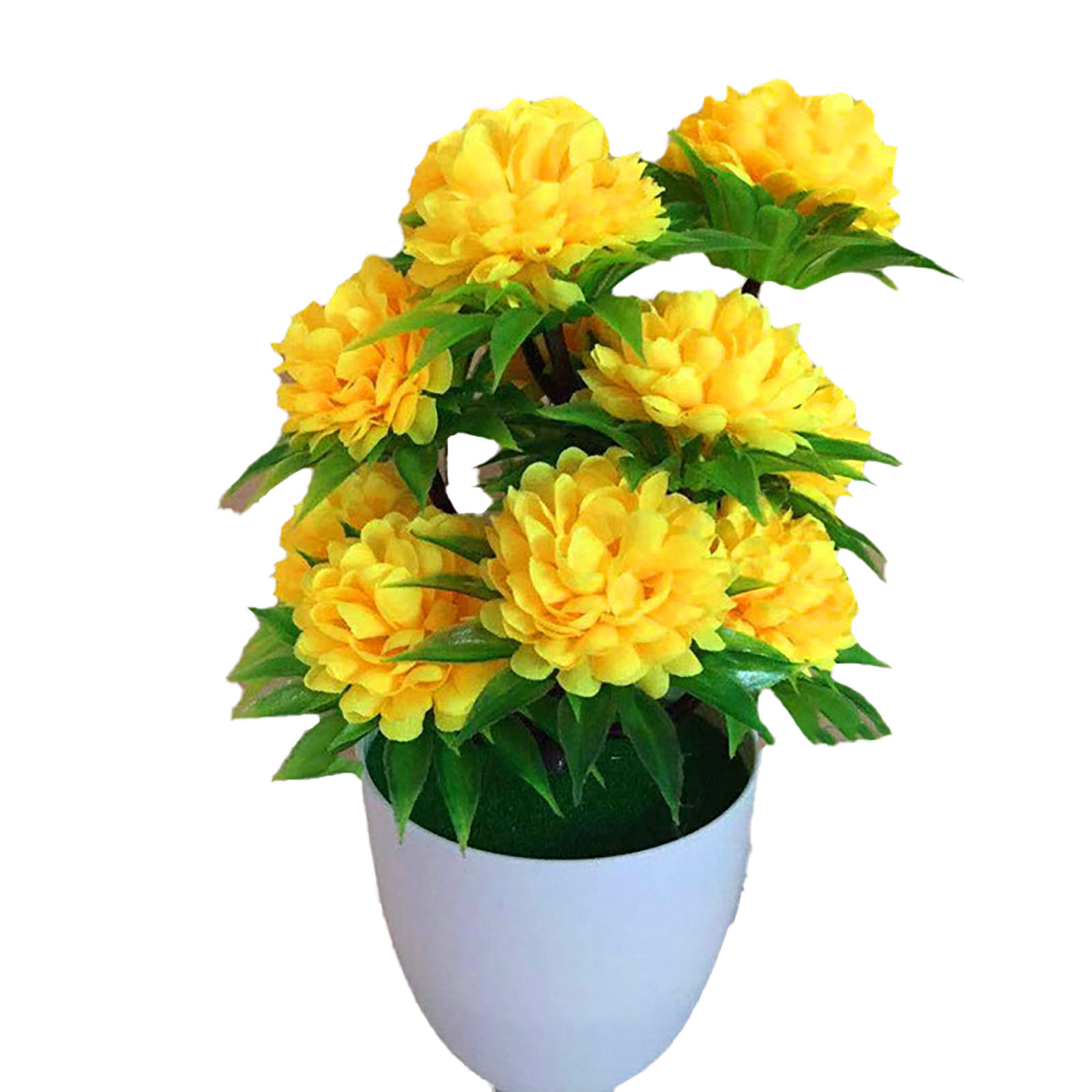 Beautiful Decoration Stylish A - Bonsai Garden Shop のレビューと価格
