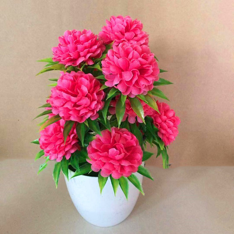 Beautiful Decoration Stylish A - Bonsai Garden Shop のレビューと価格