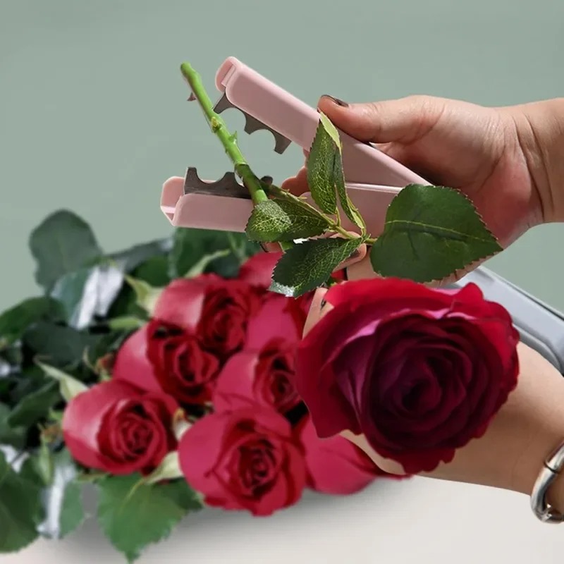 Rose Thorn Remover, Flower Tho - Bonsai Garden Shop のレビューと価格