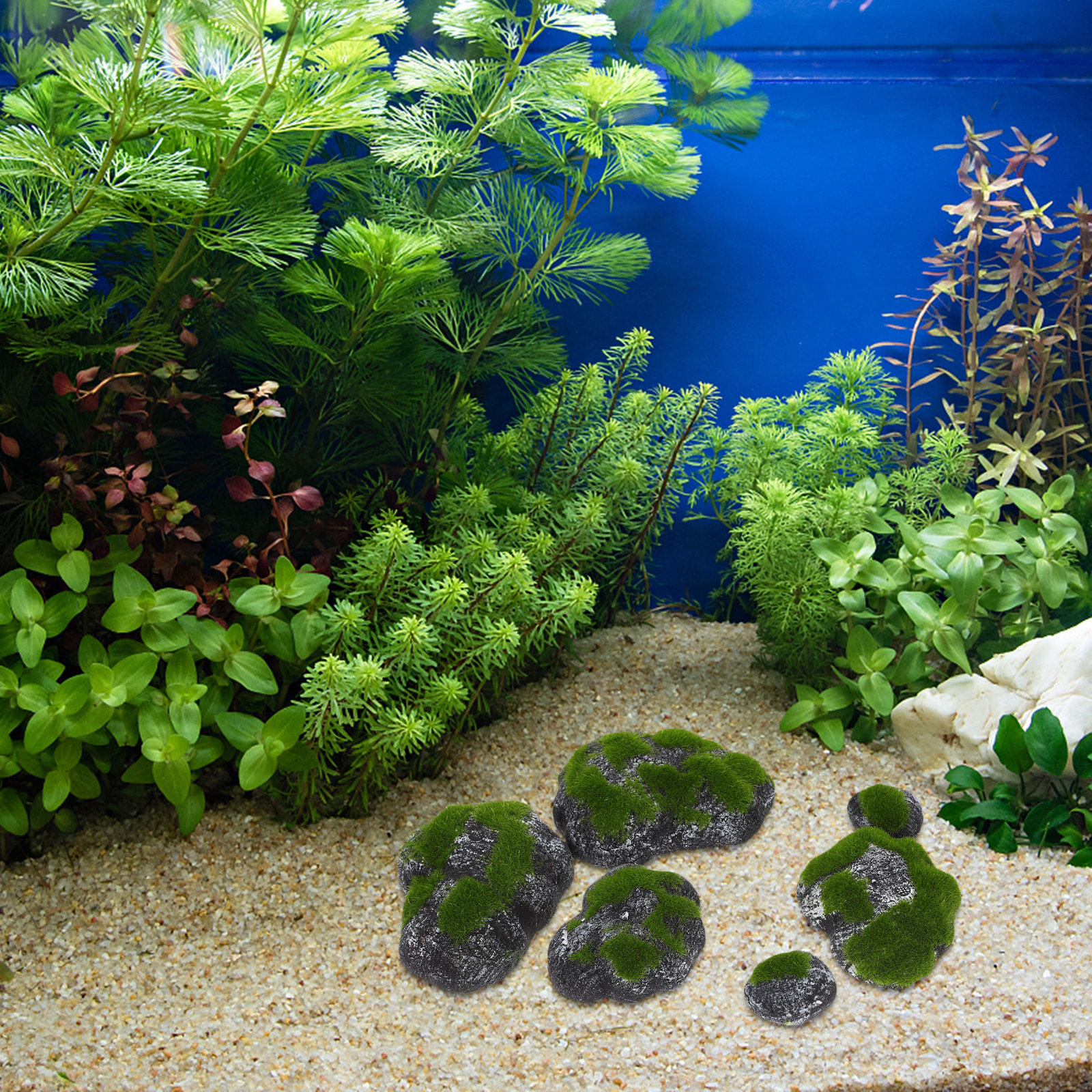 1Set Premium Artificial Moss S - Bonsai Garden Indoor のレビューと価格