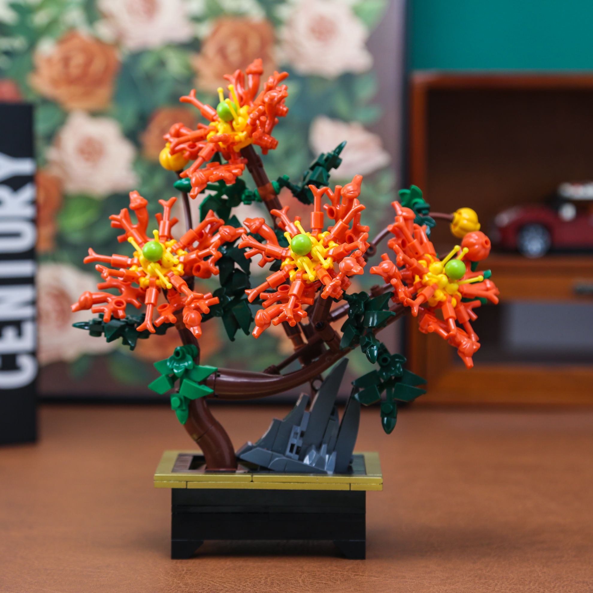 Dragon Claw Chrysanthemum Bons - Bonsai Garden Pot のレビューと価格