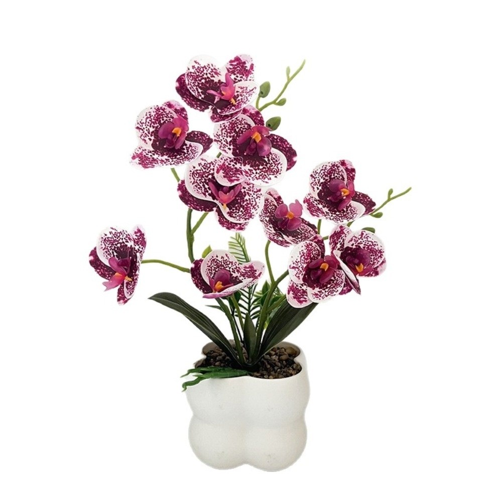 Multi-Bloom Simulated Butterfl - Bonsai Garden Zen のレビューと価格