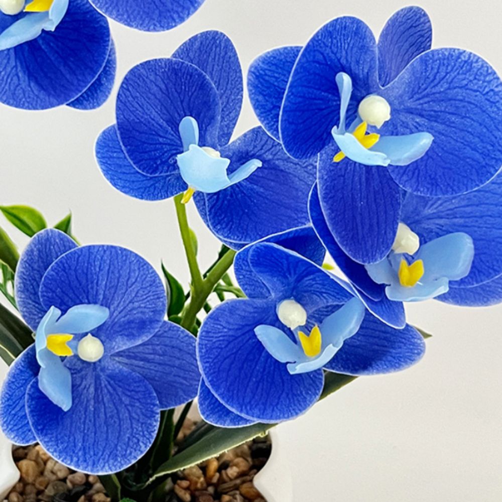Multi-Bloom Simulated Butterfl - Bonsai Garden Zen のレビューと価格