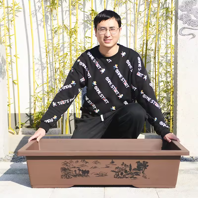 Factory Direct Sales Custom Pl - Bonsai Garden For Sale のレビューと価格