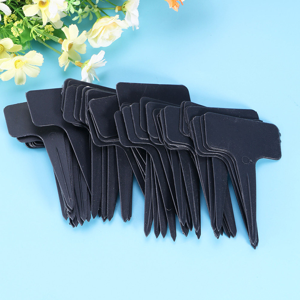 200Pcs T Shaped Plastic Plant  - Bonsai Garden Shop のレビューと価格