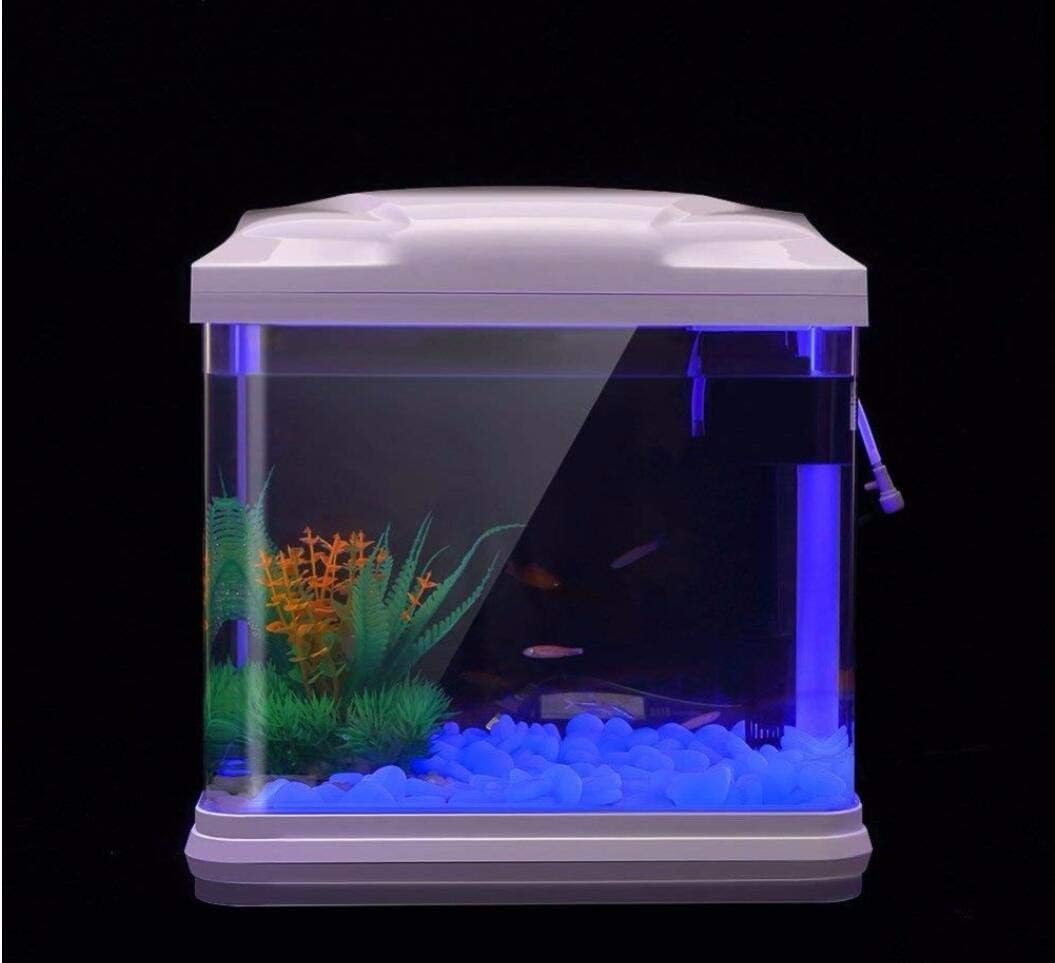Fish Tank Rocks Glow Blue Pebb - Bonsai Garden Zen のレビューと価格