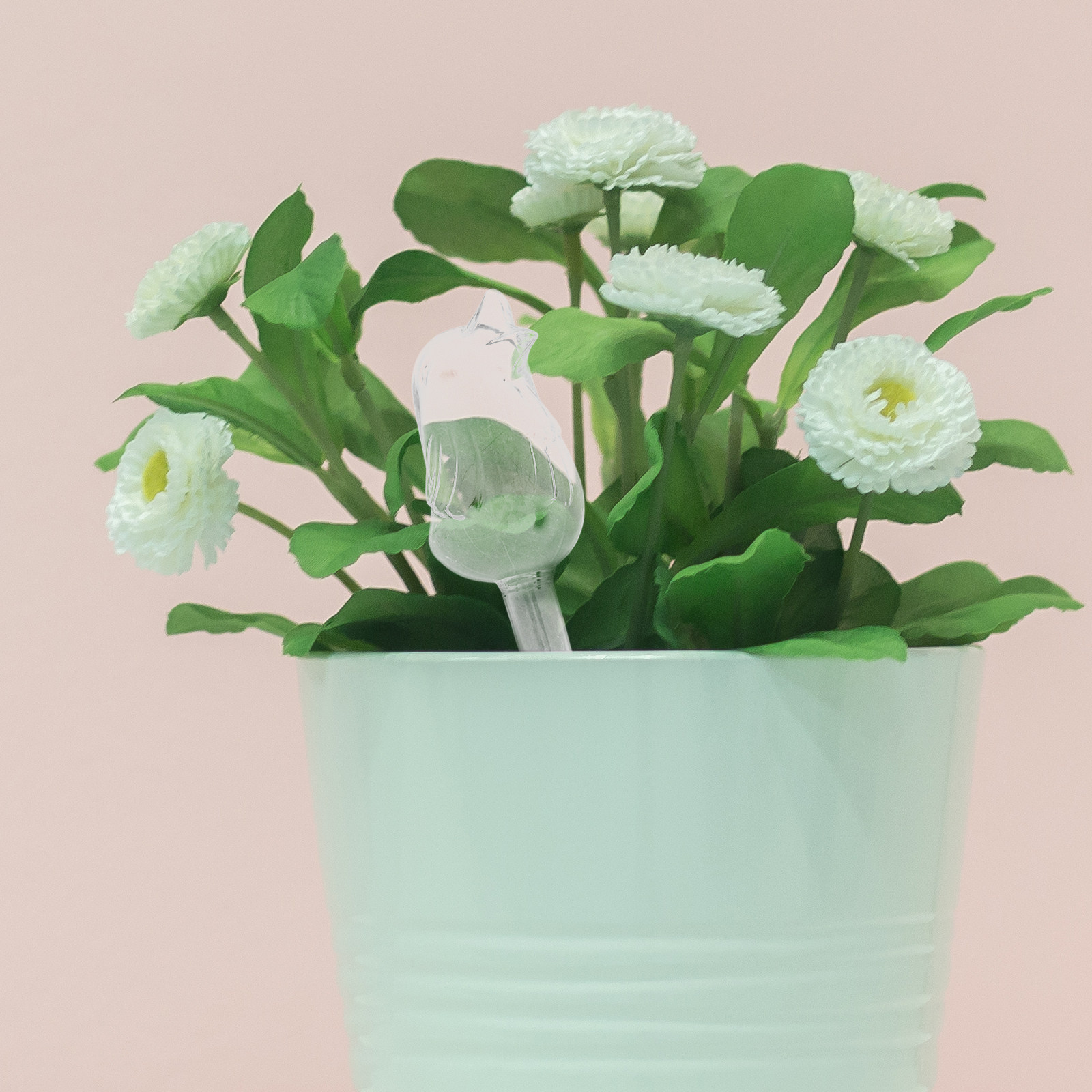 Glass Self-Watering Globes Aut - Bonsai Garden Pot のレビューと価格