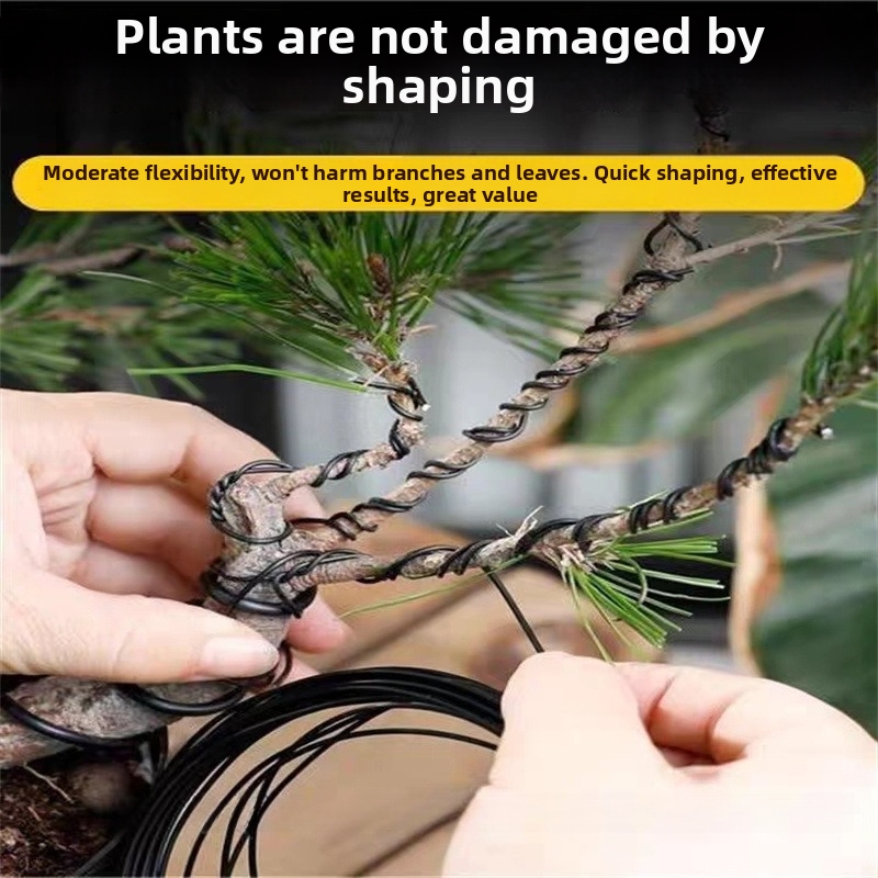 1.5MM Bonsai Wires Aluminum Bo - Bonsai Garden Home のレビューと価格