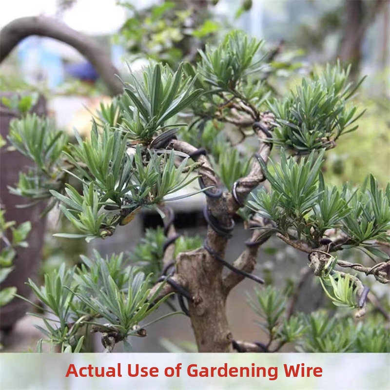 1.5MM Bonsai Wires Aluminum Bo - Bonsai Garden Home のレビューと価格