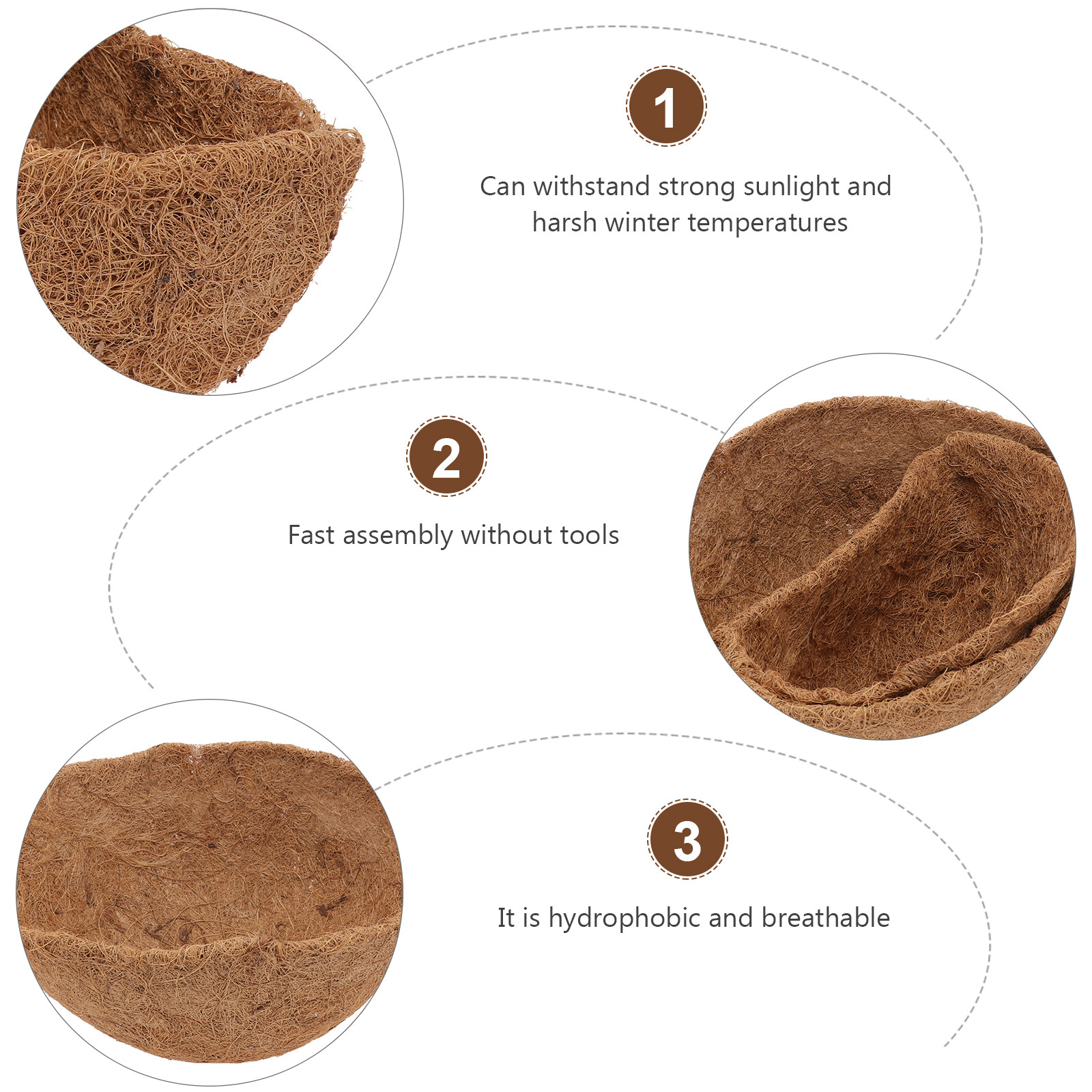 4Pcs Natural Coconut Fiber Flo - Bonsai Garden Shop のレビューと価格