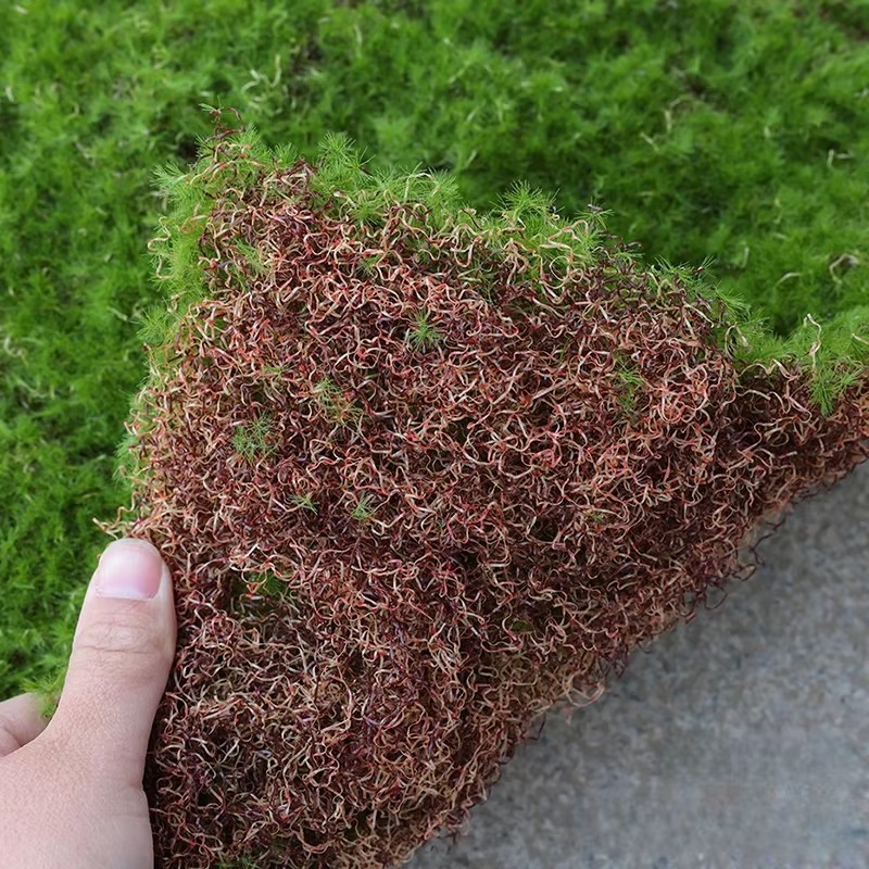 Artificial Grass Mat Green Sim - Bonsai Garden Shop のレビューと価格