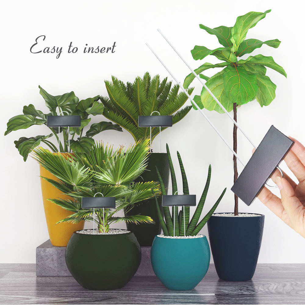 8/15/30/50PCS Weatherproof Lar - Bonsai Garden Indoor のレビューと価格