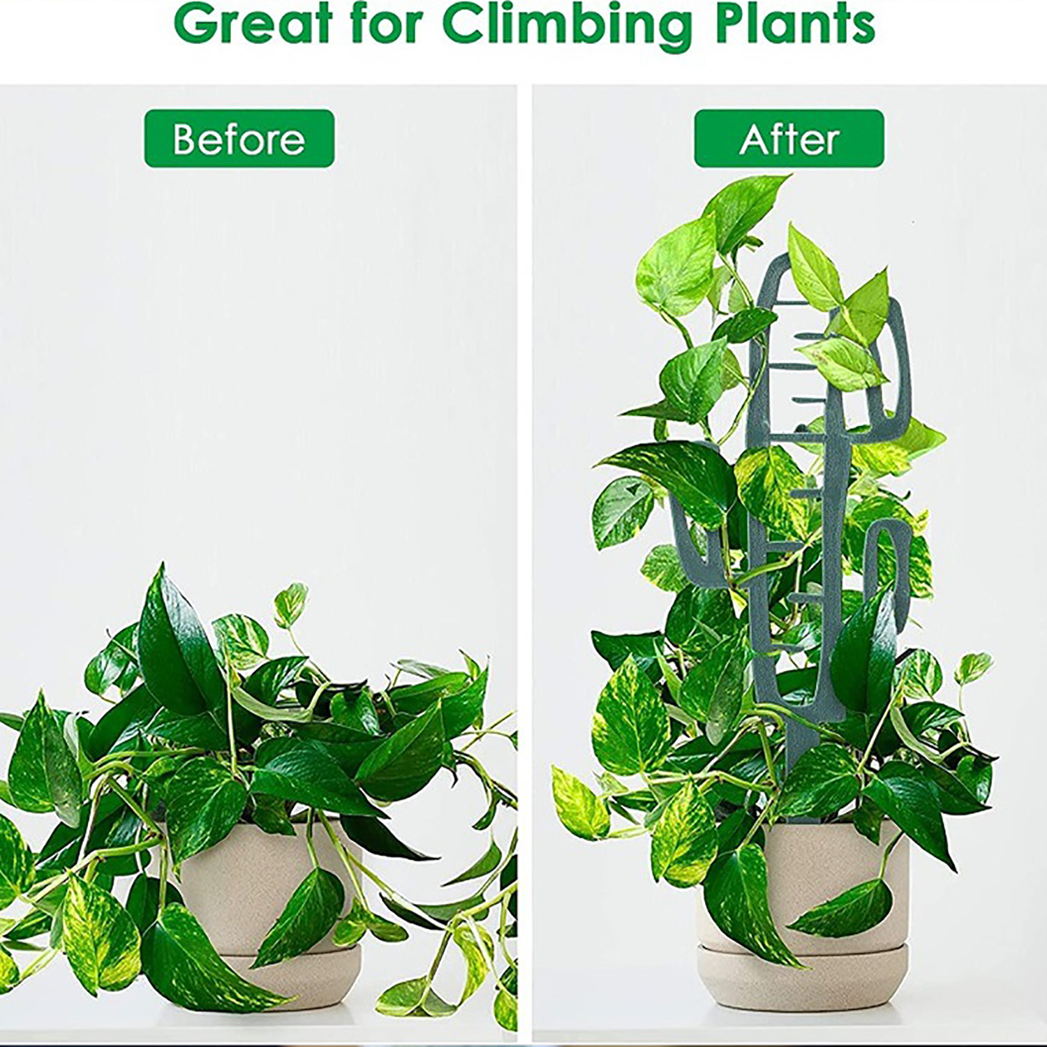 Plant Climbing Support Stand F - Bonsai Garden Pot のレビューと価格
