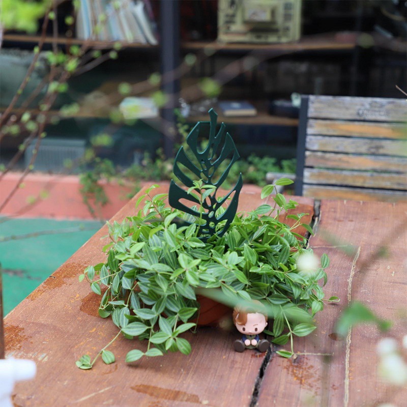 Plant Climbing Support Stand F - Bonsai Garden Pot のレビューと価格