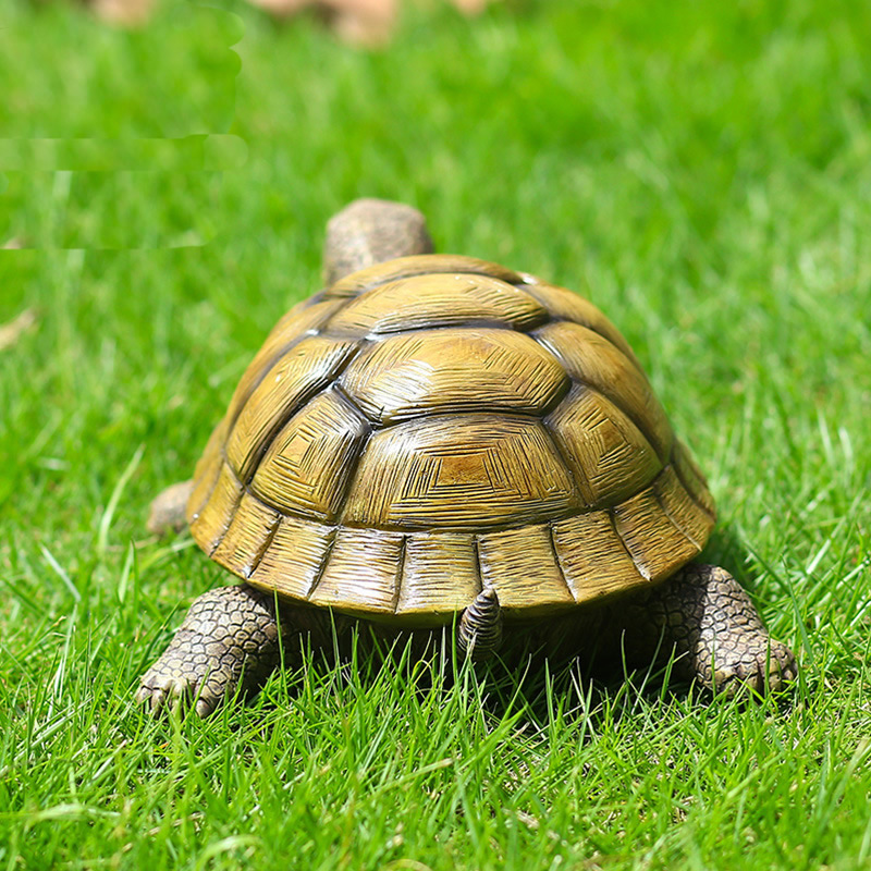 Cute Decorative Turtle Resin T - Bonsai Garden Home のレビューと価格