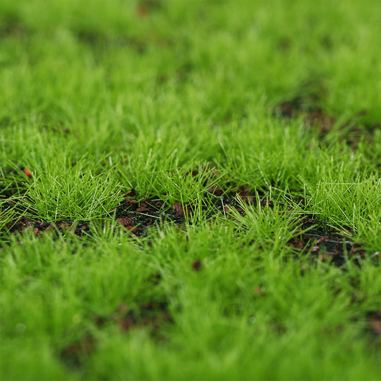 Artificial Moss Turf Simulatio - Landscape Bonsai Garden のレビューと価格