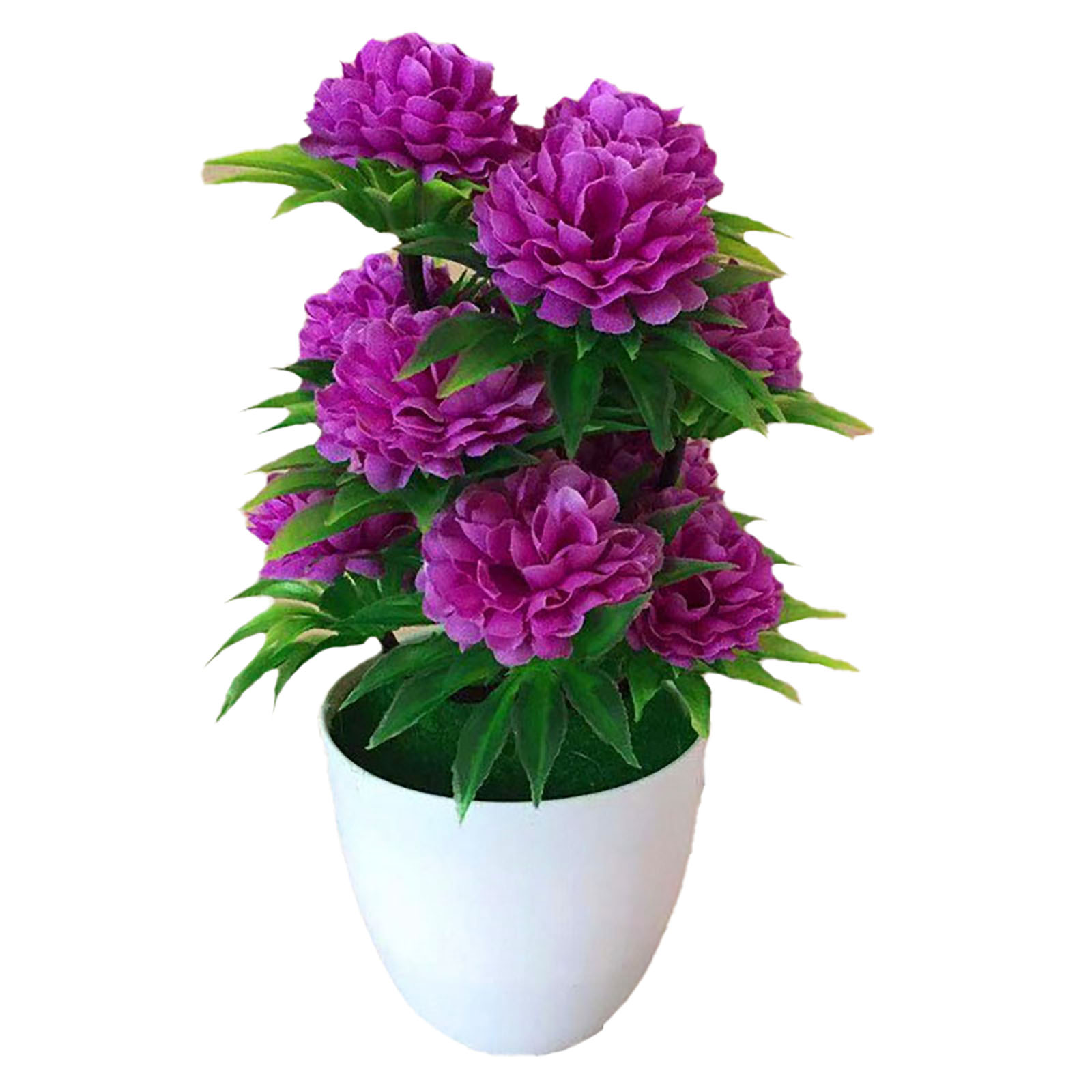 Beautiful Decoration Stylish A - Bonsai Garden Shop のレビューと価格