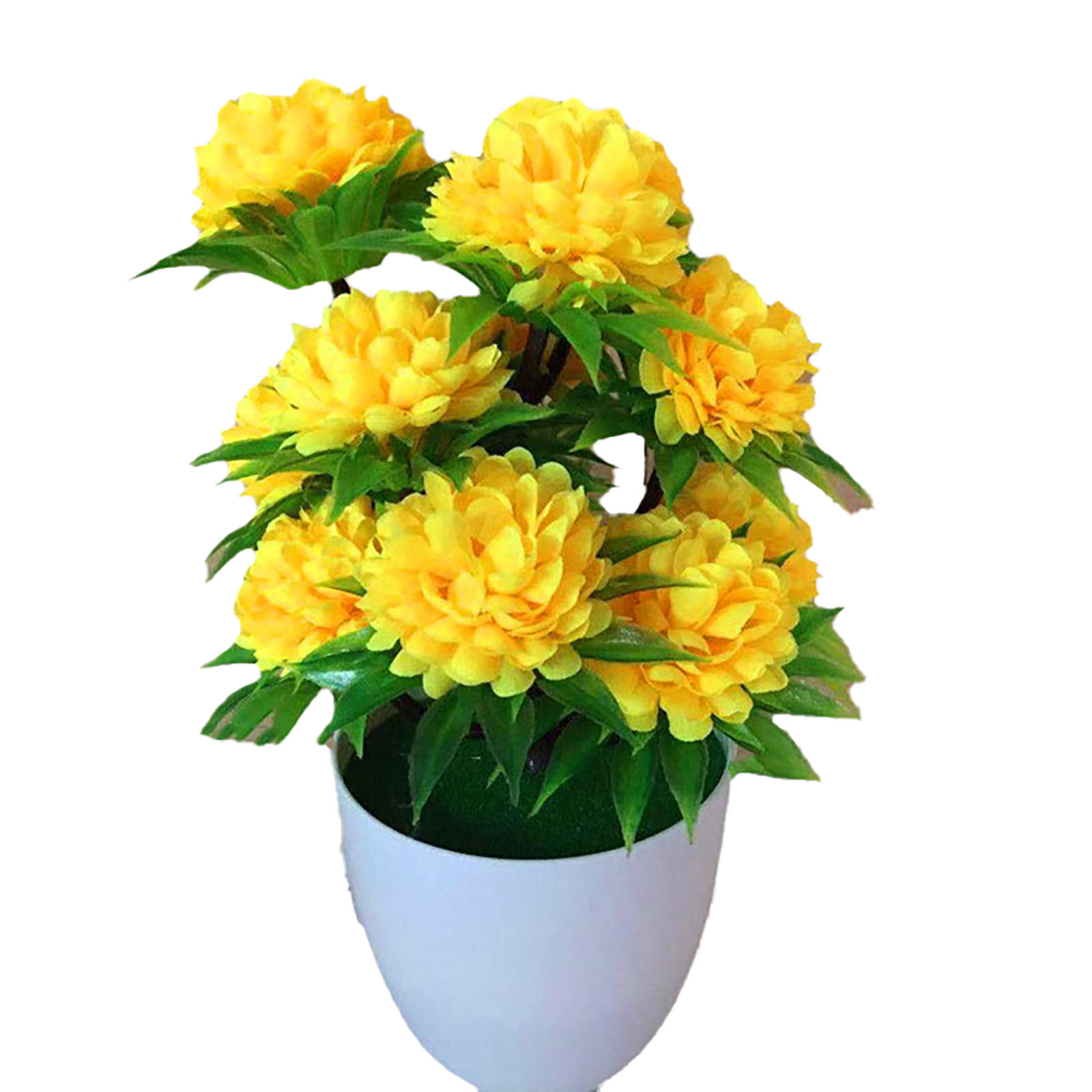 Beautiful Decoration Stylish A - Bonsai Garden Shop のレビューと価格