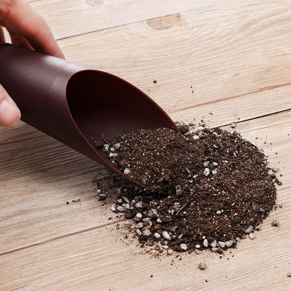 1PC Plastic Soil Shovel Cup Fo - Bonsai Garden Pot のレビューと価格