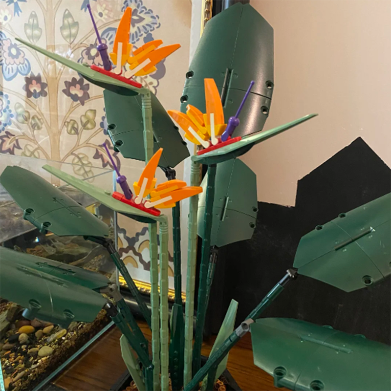 1378PCS Paradise Bird Potted P - Bonsai Garden Zen のレビューと価格
